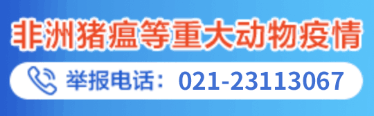 重大動物疫情舉報電話